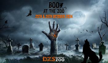 Boo at the Zoo