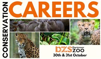 Conservation Careers