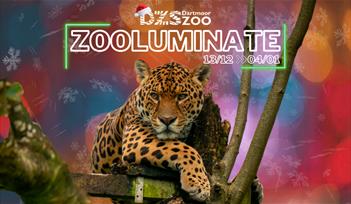 Zooluminate
