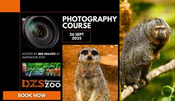 Photography Course with BRS Images