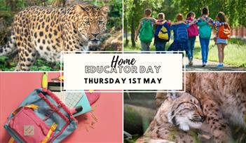 Home Educator Day - Creativity