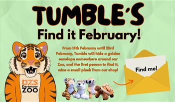 Find it February