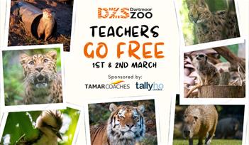 Teachers Go FREE