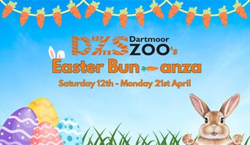 Easter Bun-anza!