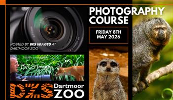 Photography Course with BRS Images