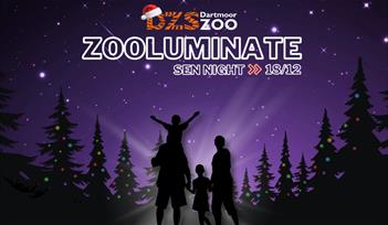 Zooluminate SEN Night