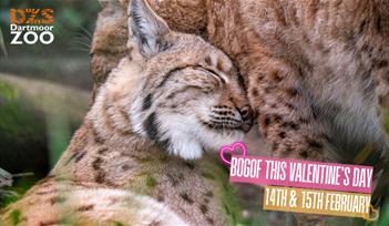BOGOF Valentine's Day at Dartmoor Zoo