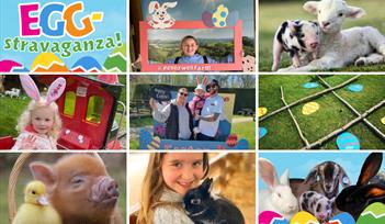 Easter Holiday Fun at Pennywell Farm!