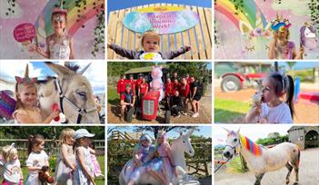 Magical Unicorn Festival!
