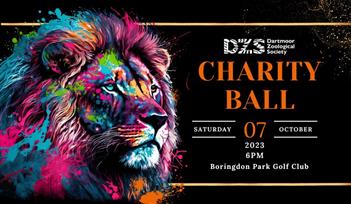 Charity Ball