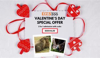 Valentine's Day