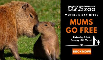 Mother's Day