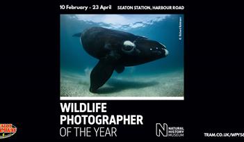 WILDLIFE PHOTOGRAPHER OF THE YEAR EXHIBITION