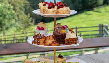 Bray beyond borders; Afternoon Tea for Donkeys Worldwide