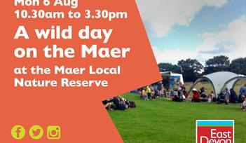 A wild day on the Maer