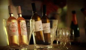 Wine Tasting Dinner