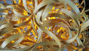 Advanced Sculptural Steam-bending