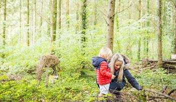 Woodland Wonder: Family day in the Deer Park
