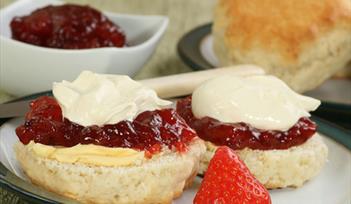 Cream Tea Yoga