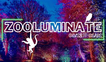 Zooluminate