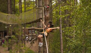 Summer fun at Go Ape Haldon Forest