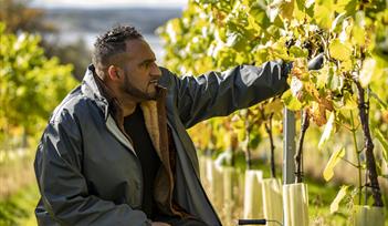 Michael Caines at harvest time in the Lympstone Manor vineyard