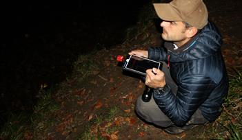 Bat Walk