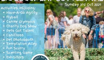 THE BIG DOGGY DAY OUT FESTIVAL