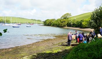 Photo of beach clean activity