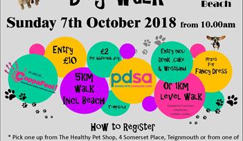 The Big Teignmouth Dog Walk