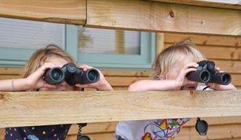 Bird watching for children