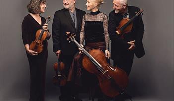 The Brodsky Quartet