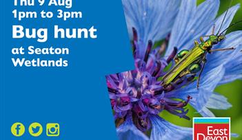 Bug hunt at Seaton Wetlands