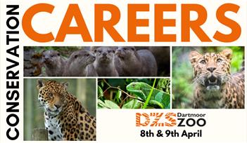 Conservation Careers