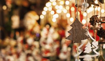 Enjoy The Donkey Sanctuary's fabulously festive fair.