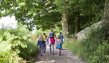 A Woodland Adventure in the Deer Park
