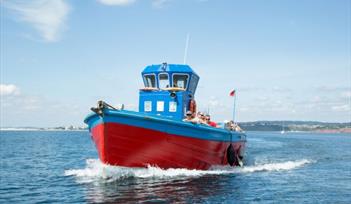 Mackerel Fishing Trips