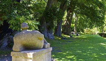 Dartington Gardens Tour