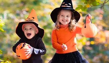 Halloween Half Term at World of Country Life, Exmouth!