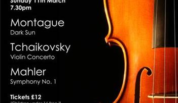 Torbay Symphony Orchestra March Concerts