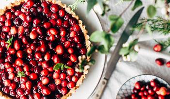 Festive Plant-Based (Vegan) Cooking Workshop & Lunch