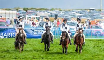 Kingsbridge Show