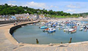 Coach Trip to Lyme Regis