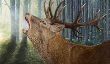 'Out Of The Shadows' Original oil painting