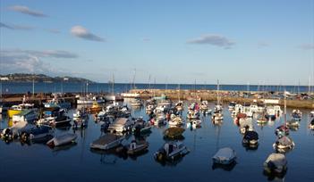 Paignton Harbour