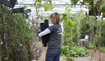 Riverford Field Kitchen Grow Your Own Veg & Herb Garden - Your Summer Larder
