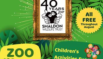 Teignmouth Museum Exhibiton and free entry