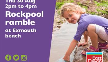 Rockpool Ramble Exmouth