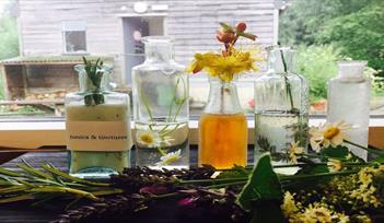 Craft Revolution: Tonics & Tinctures with Tania Bryson – one-day course