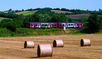 The Tarka Line - field